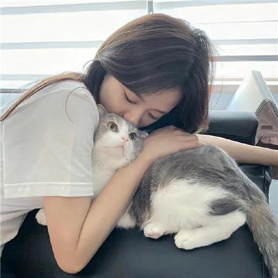 纸钞屋第一季